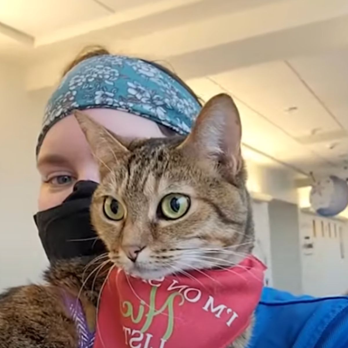 womans face and cat