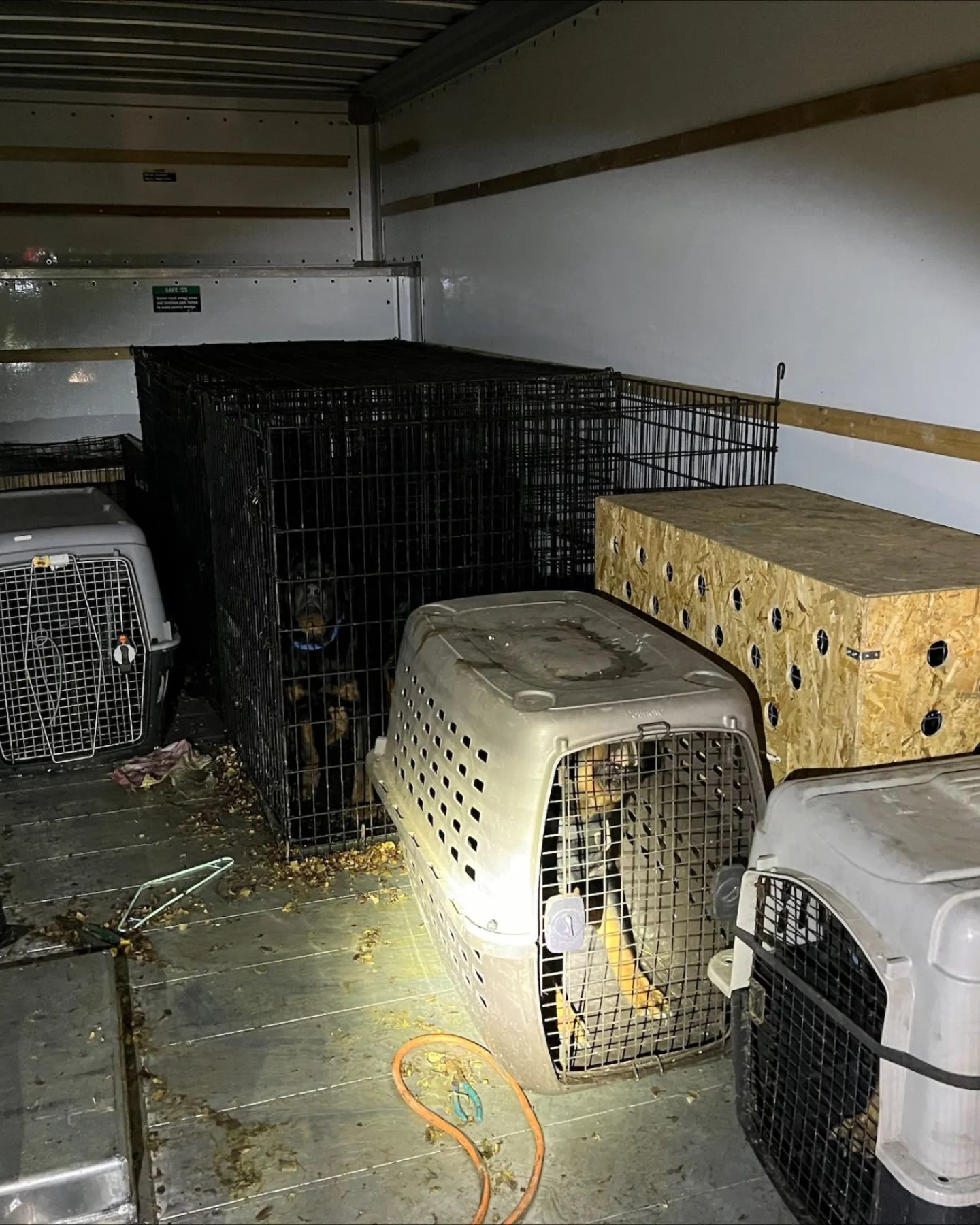 15 abandoned dogs in a truck