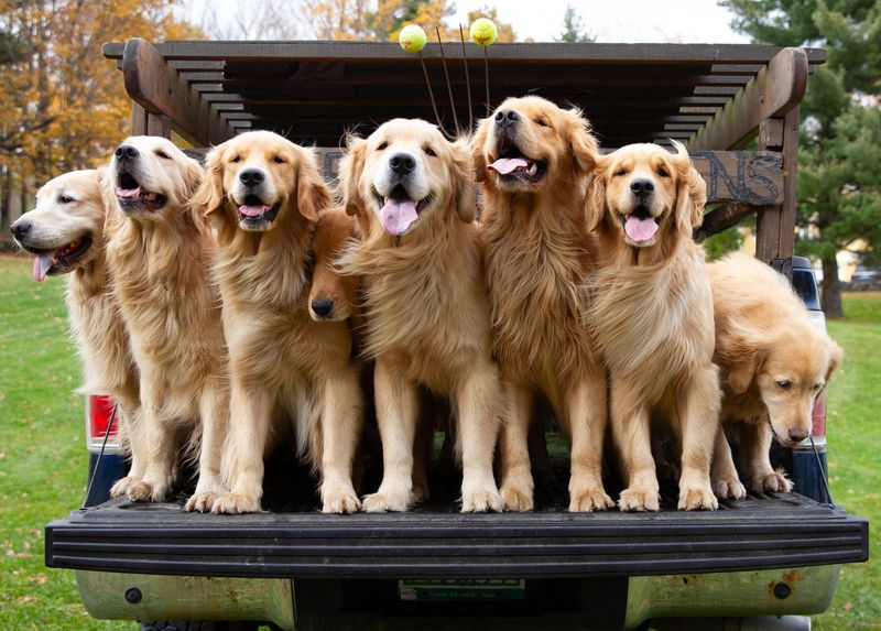 Farm-Friendly Helpers