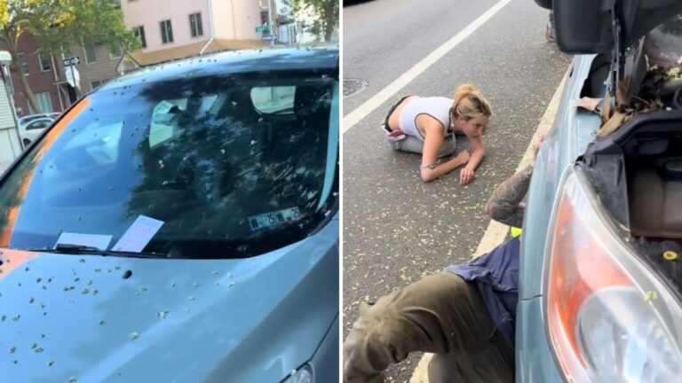 Brooklyn Woman Finds Notes All Over Her Car And Ends Up Saving A Little Life