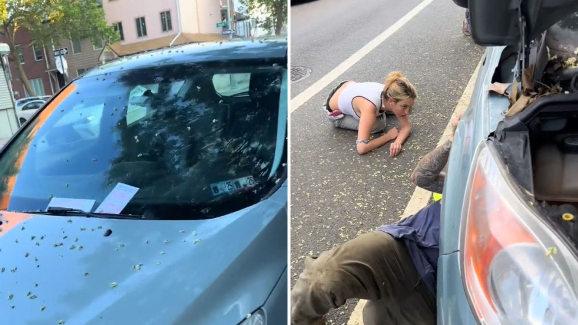 Brooklyn Woman Finds Notes All Over Her Car And Ends Up Saving A Little Life