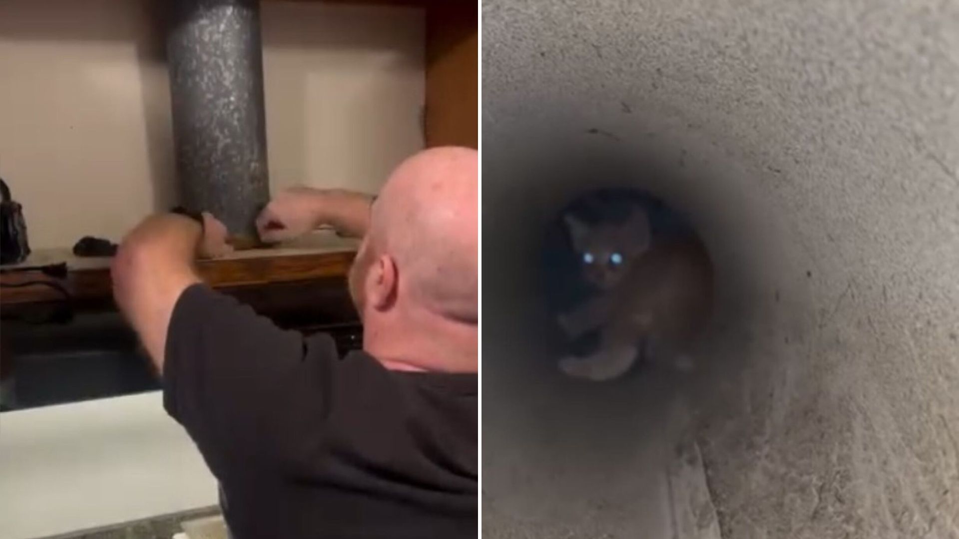 kitten trapped in a stove