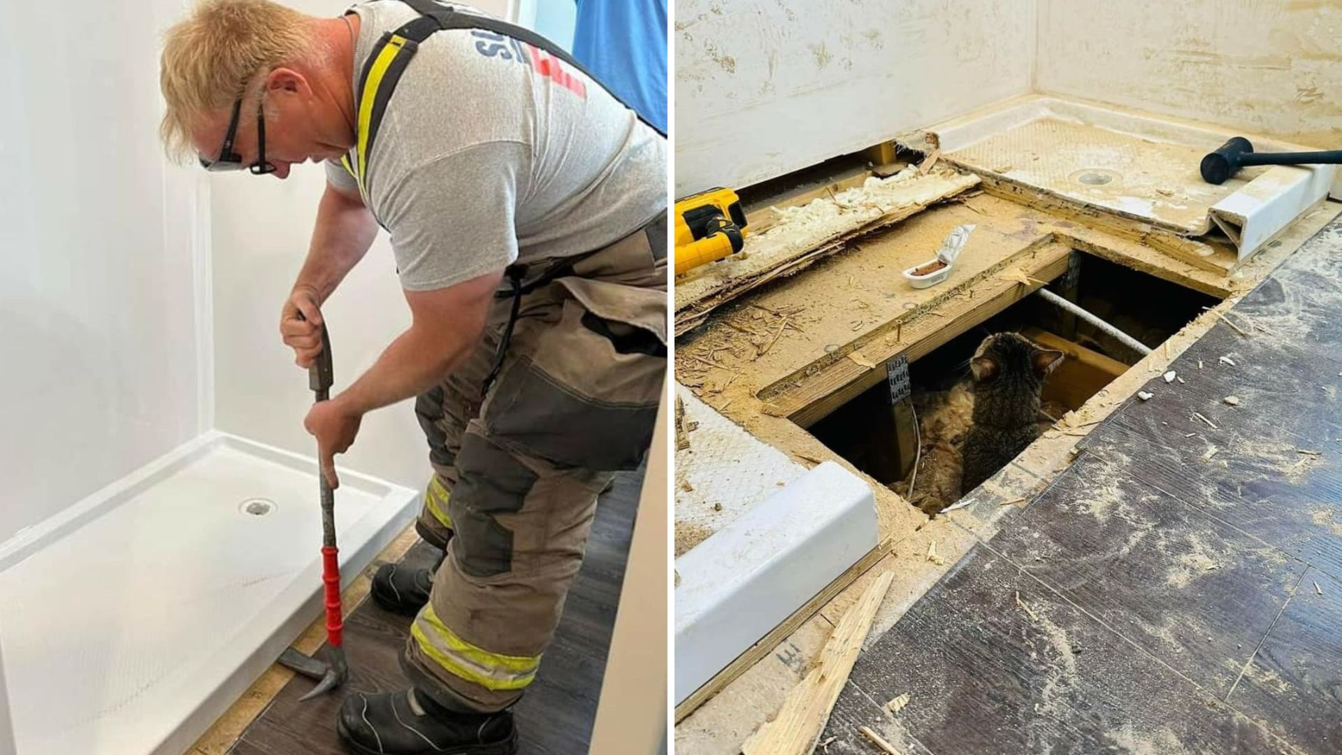 Cat Accidentally Sealed Beneath Newly Remodeled Shower Sparks Dramatic Rescue In North Carolina