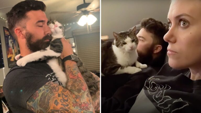 Maryland Woman Adopts Neglected Cat Not Knowing He’s About To Steal Her Man