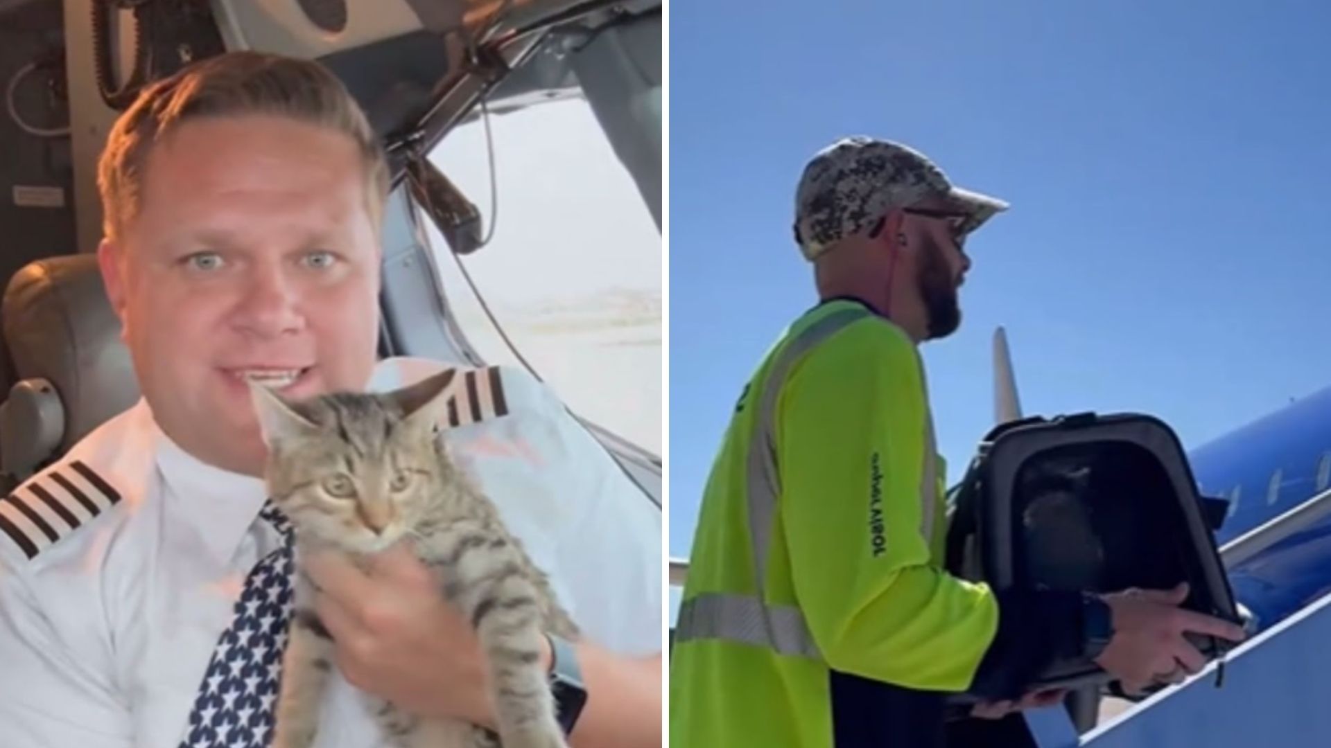 pilot adopts kitten