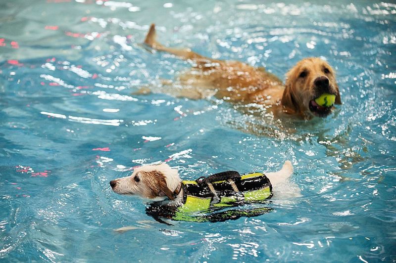 Water Rescue Heroes