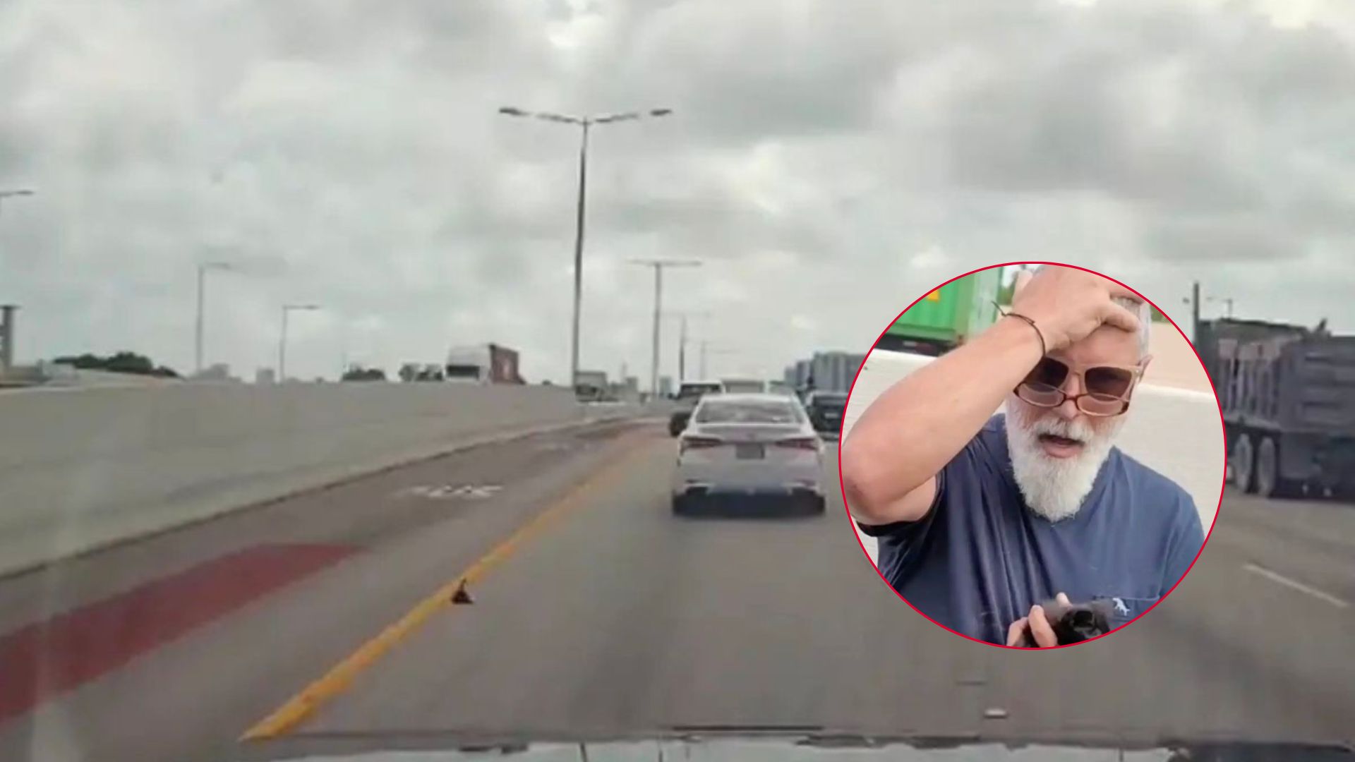 kitten on a highway