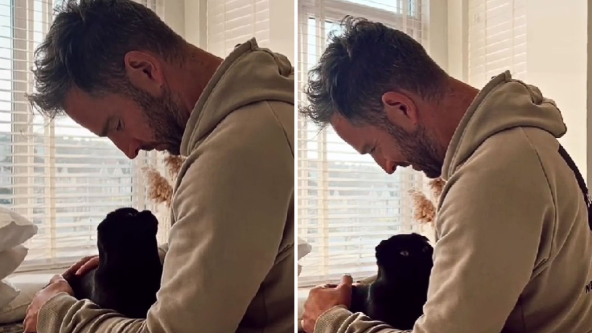 man and a cat