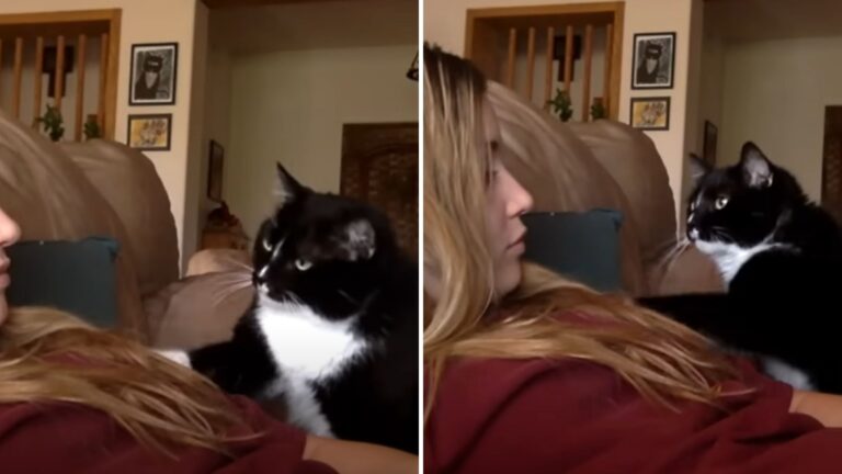 woman and cat