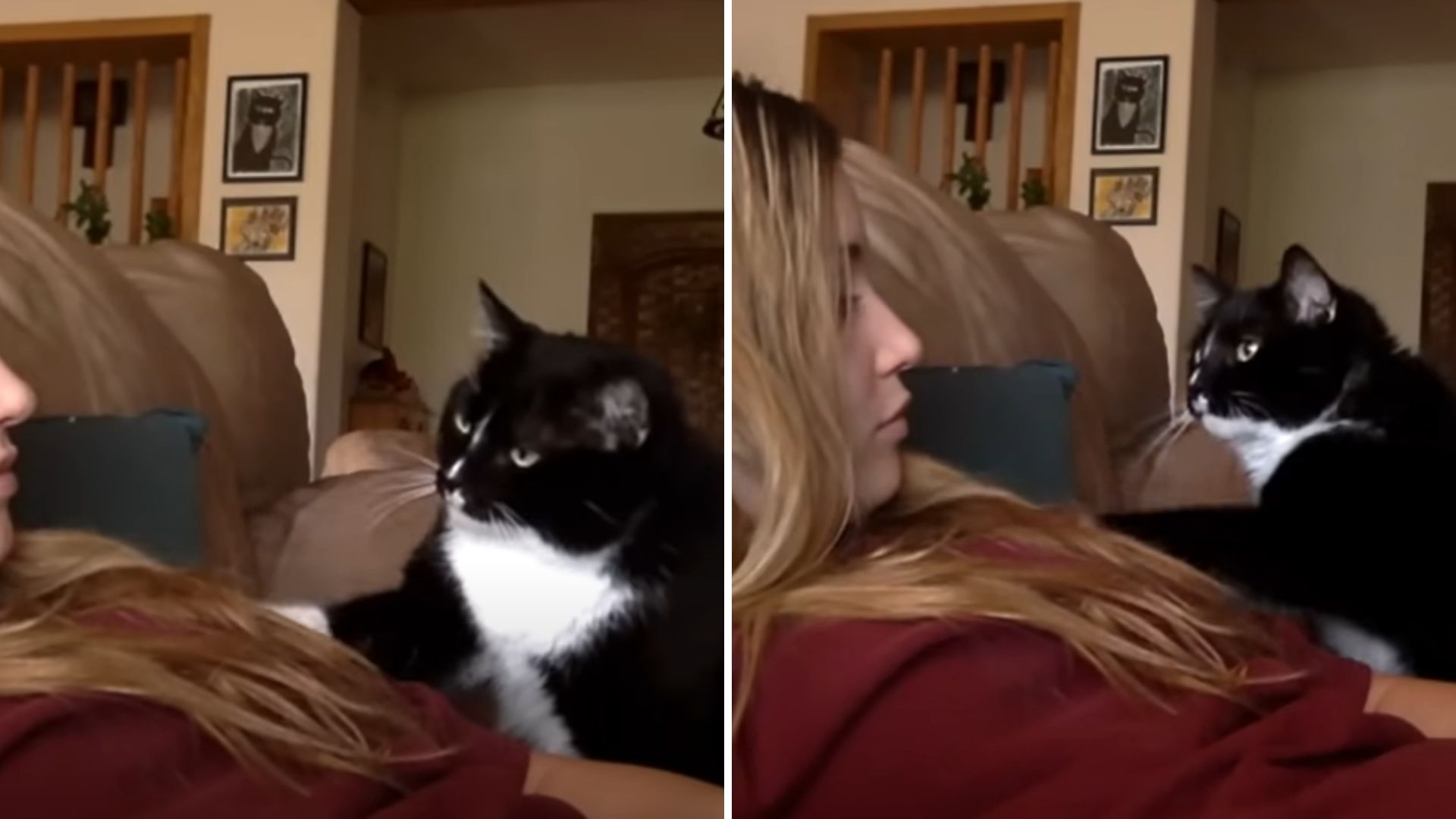 woman and cat