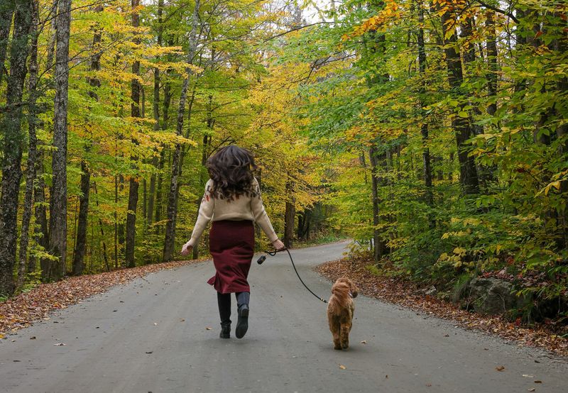 Vermont