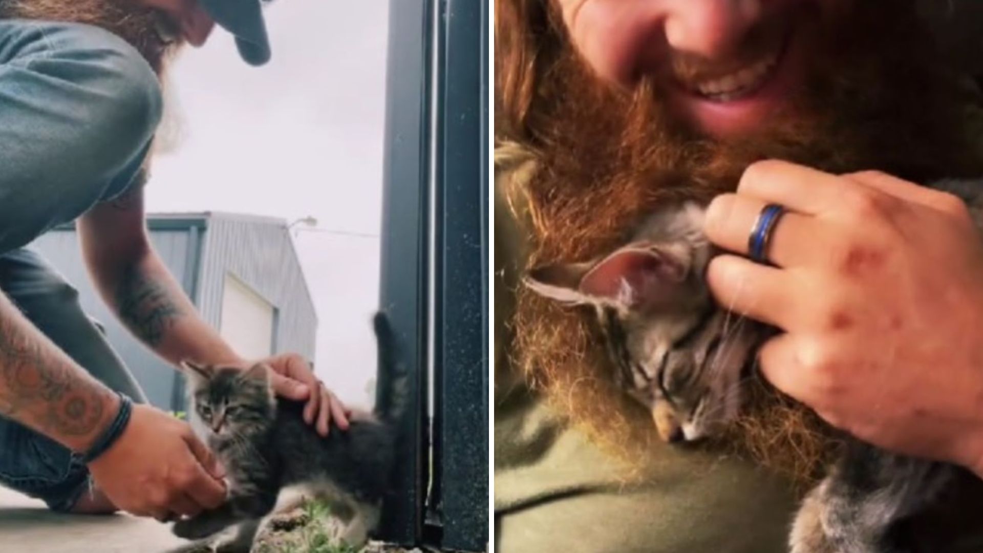 tiny kitten saved