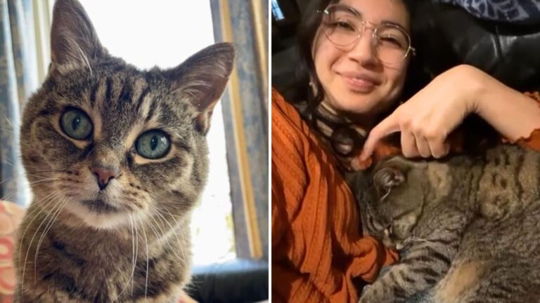 woman and a senior cat