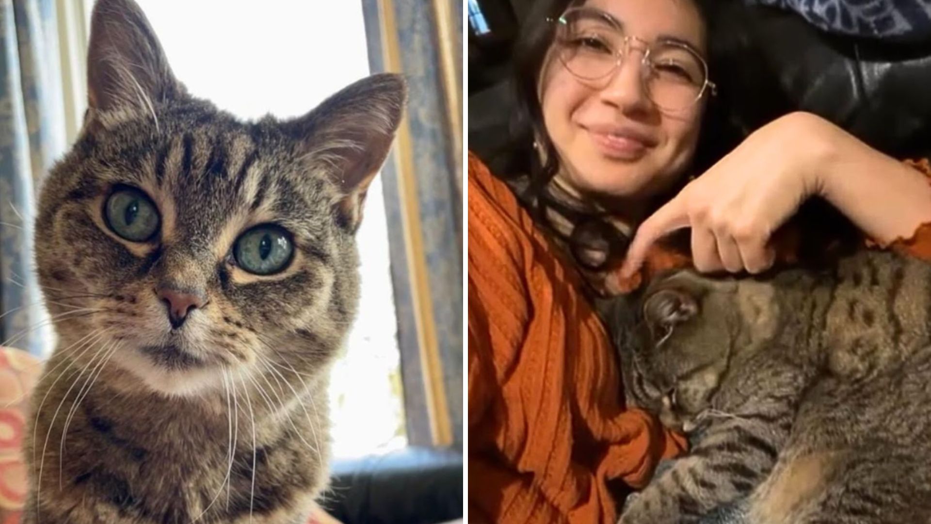 woman and a senior cat