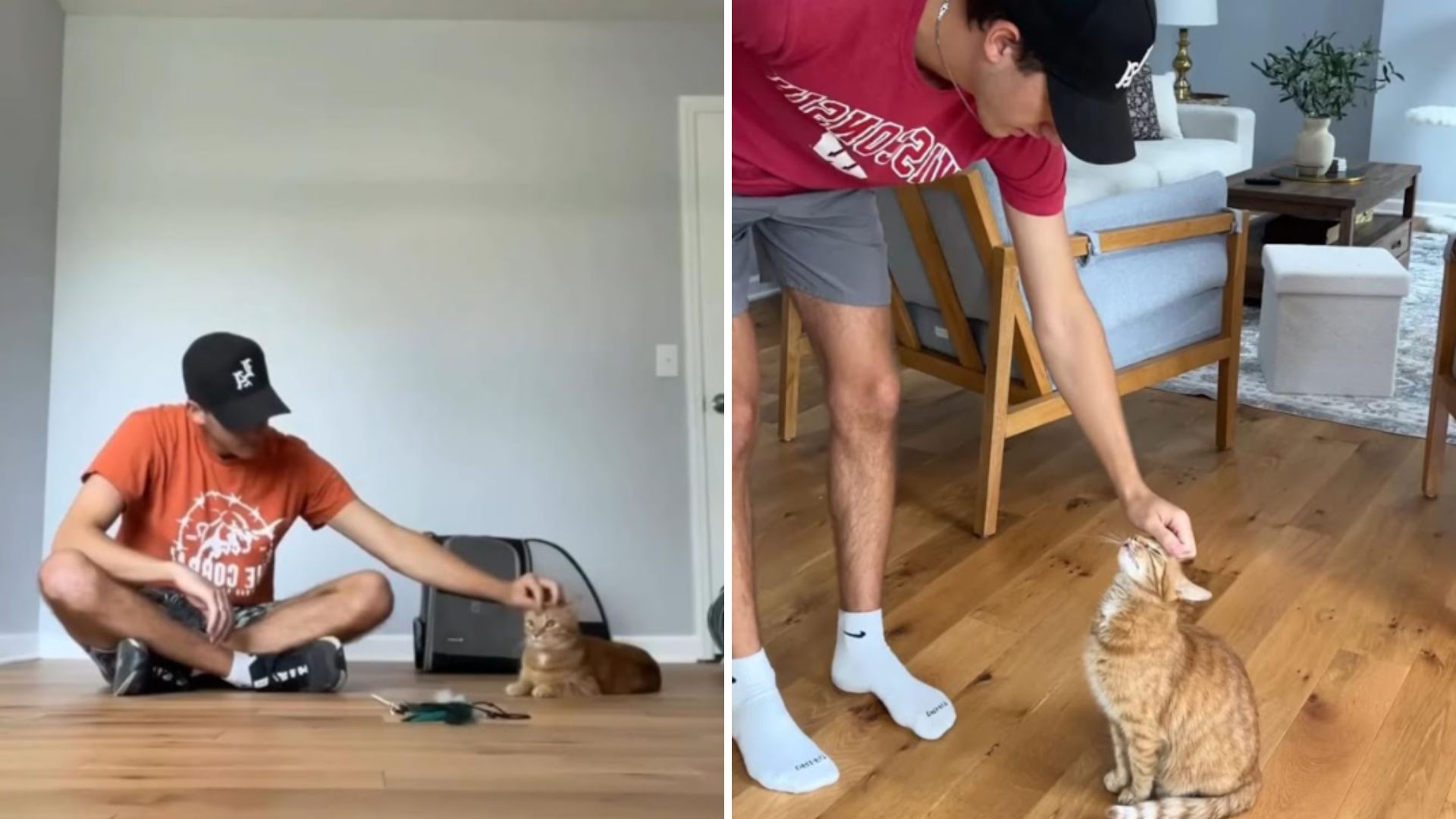 cat playing with a man