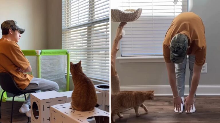 man copying his cat