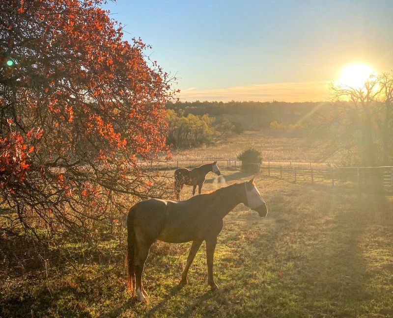 Oklahoma