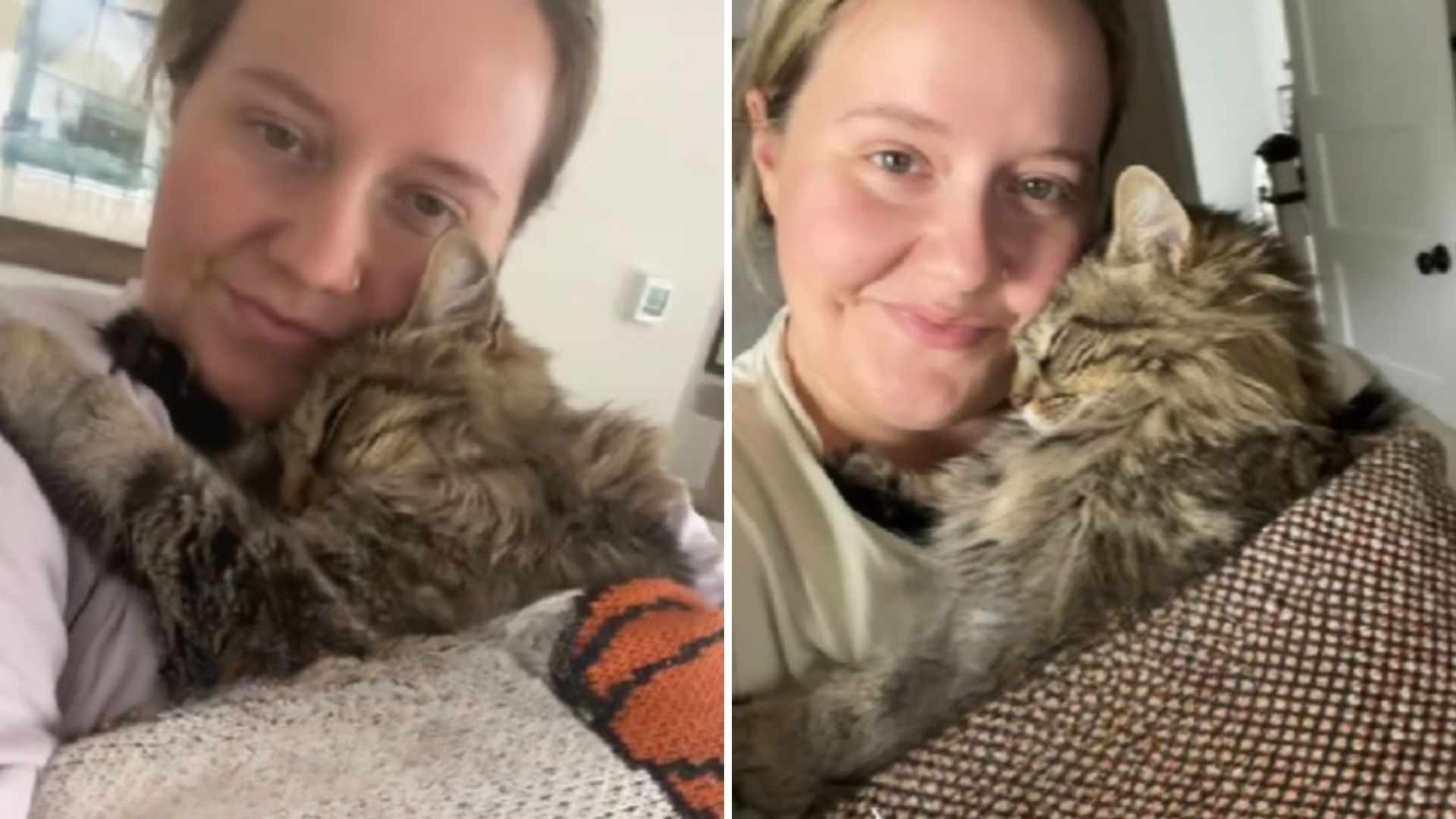 woman hugging shelter cat