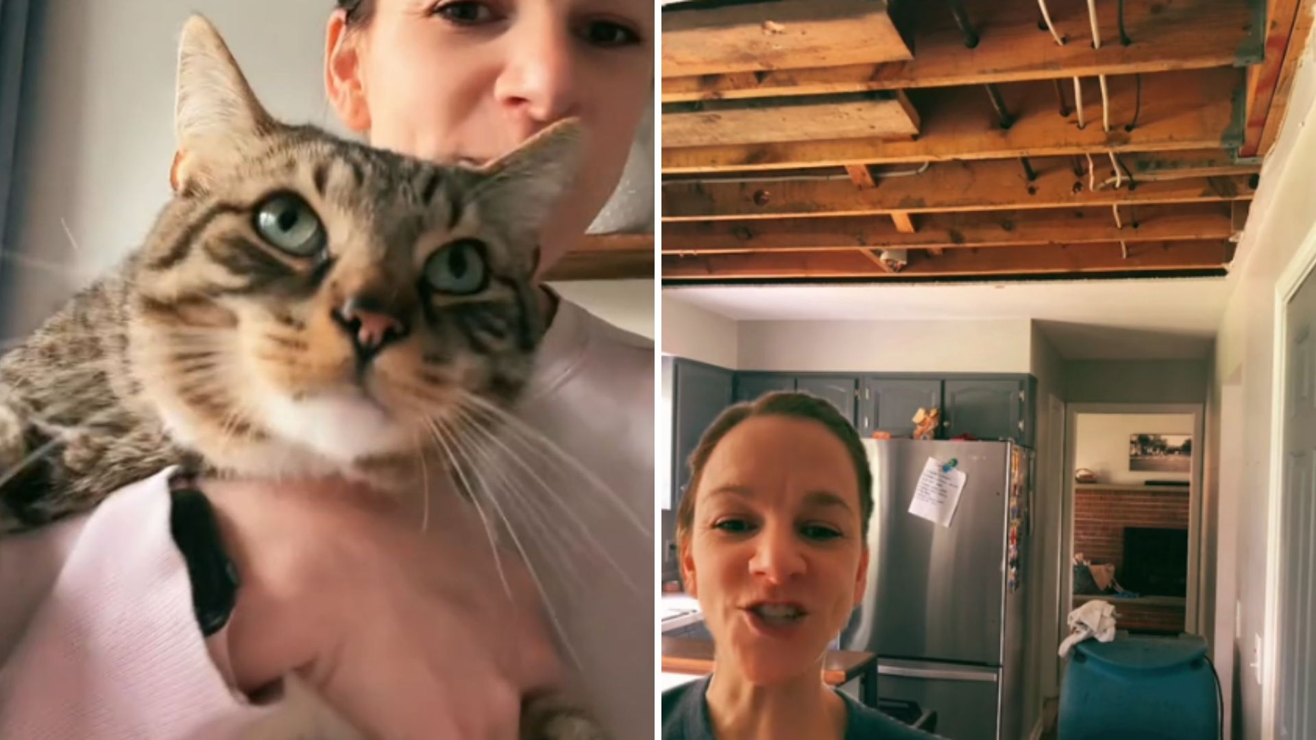 woman holding a cat