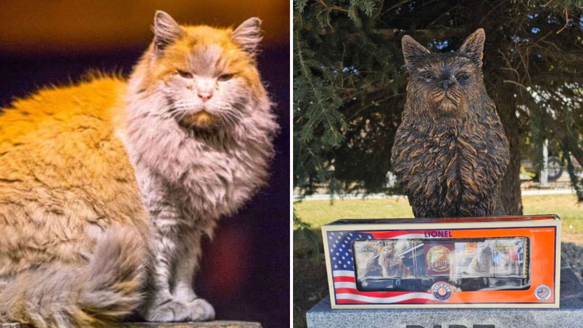 Nevada Northern Railway Once Sheltered A Special Cat Named Dirt And This Is His Story