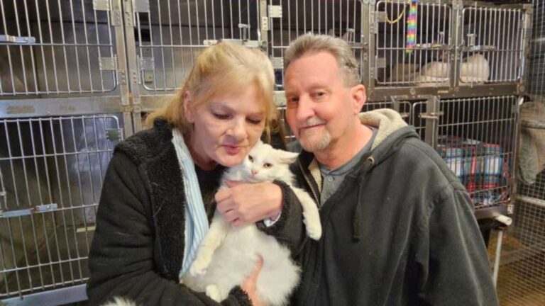 man and woman with adopted cat
