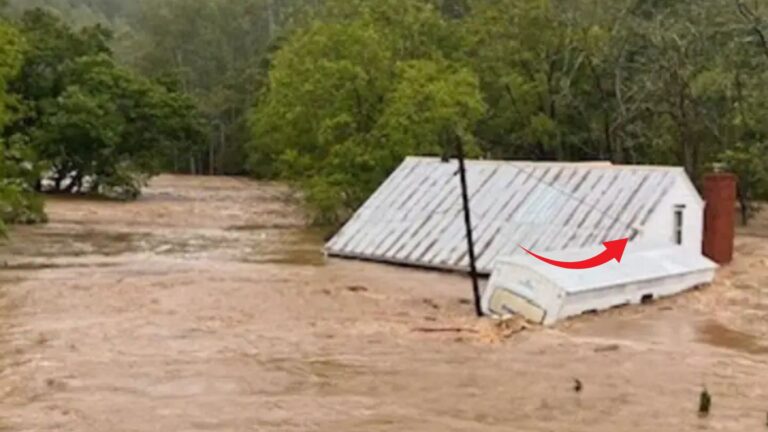 house in a flood