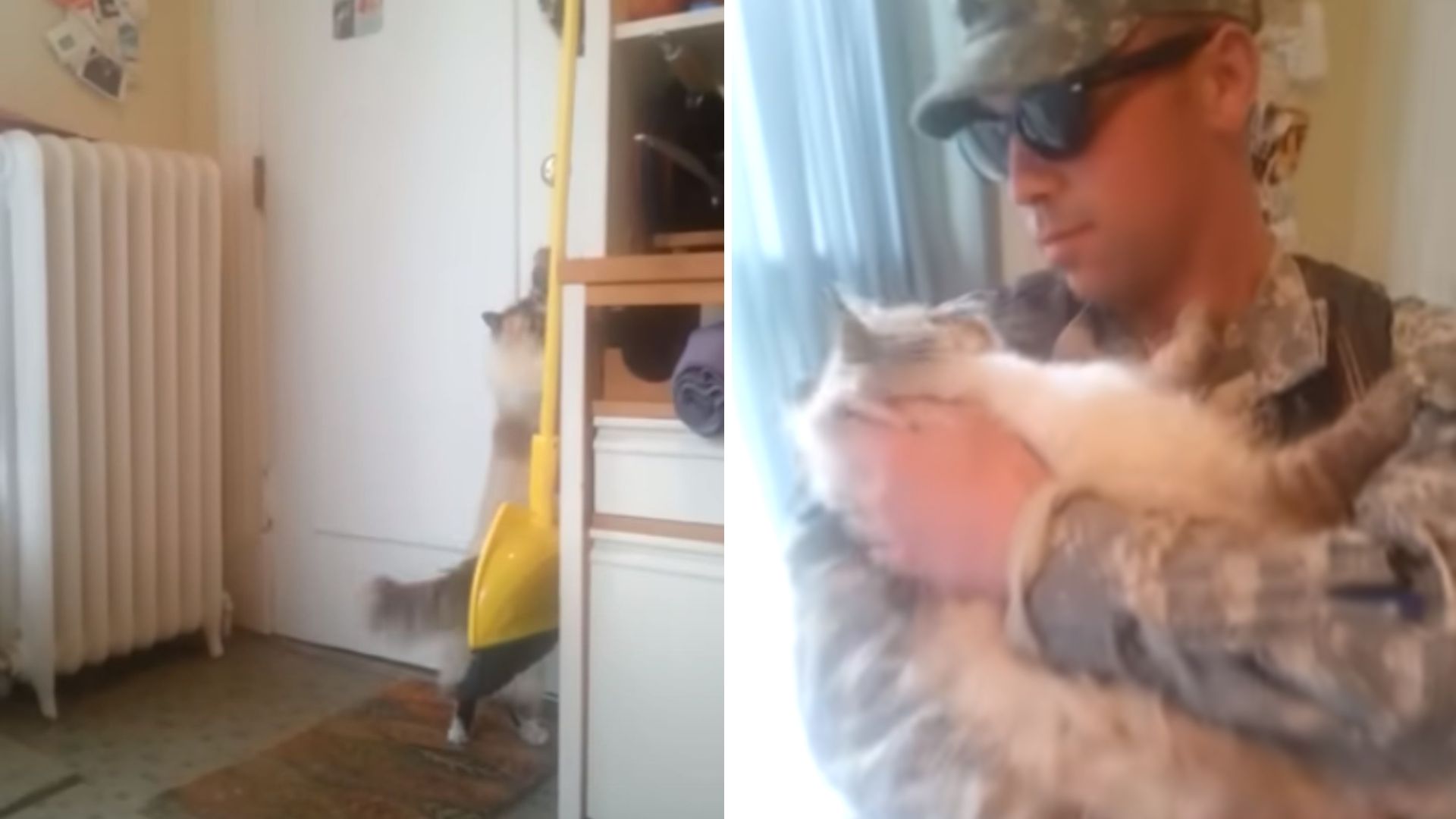 soldier holding a cat