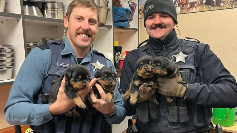 policemen with dogs