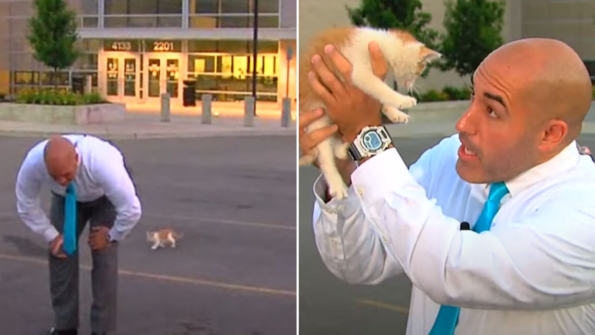 Reporter In Disbelief After An Unexpected Furry Guest Interrupts His Live Shot In Michigan