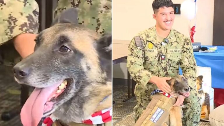 military god reunites with former handler