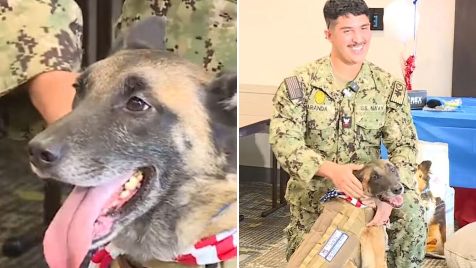 military god reunites with former handler