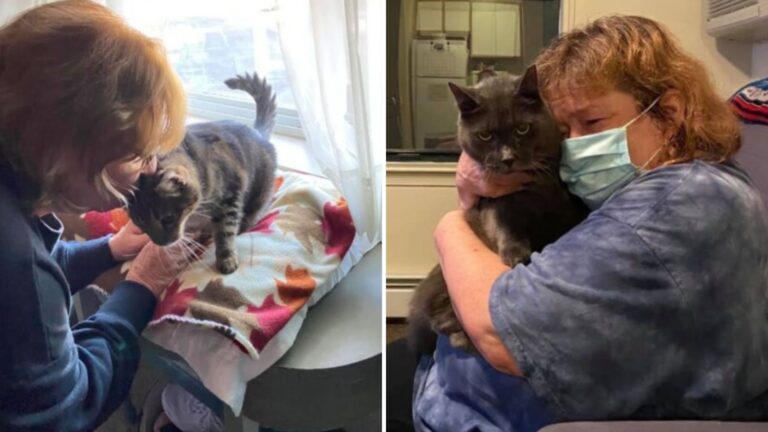 Senior Cat And Elderly Woman Find Joy Together Thanks To Pennsylvania Rescue Program
