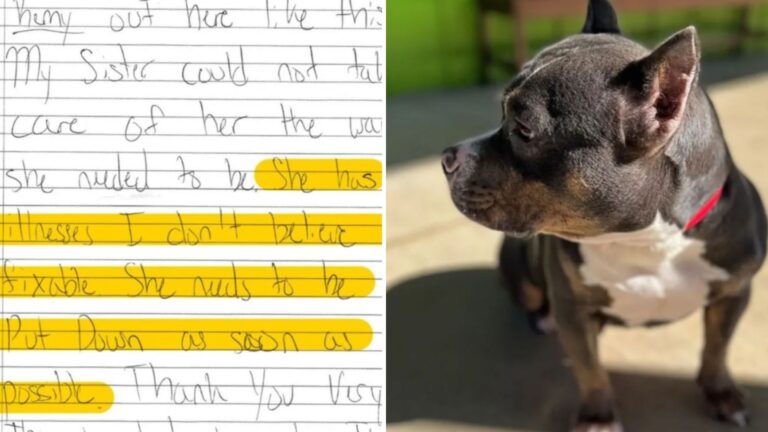 dog with a note