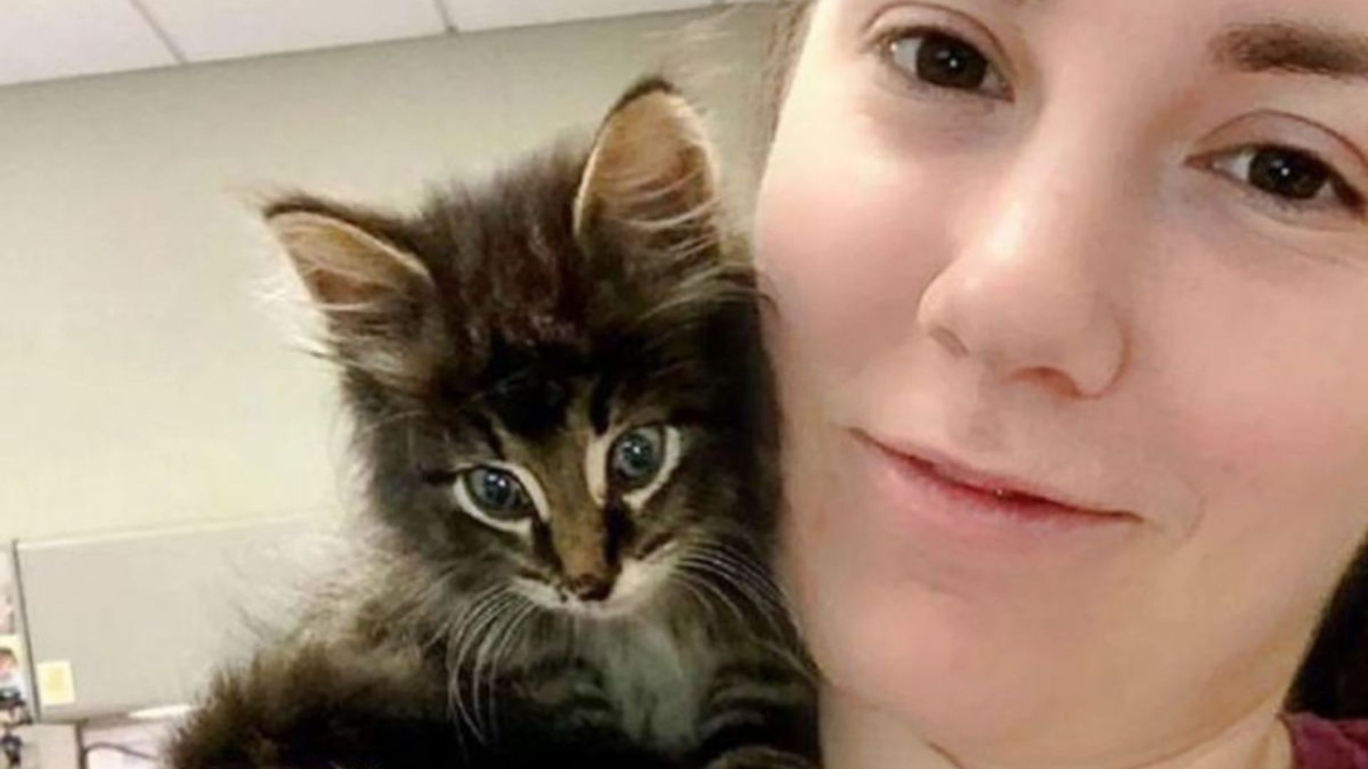 woman holding a stray kitten