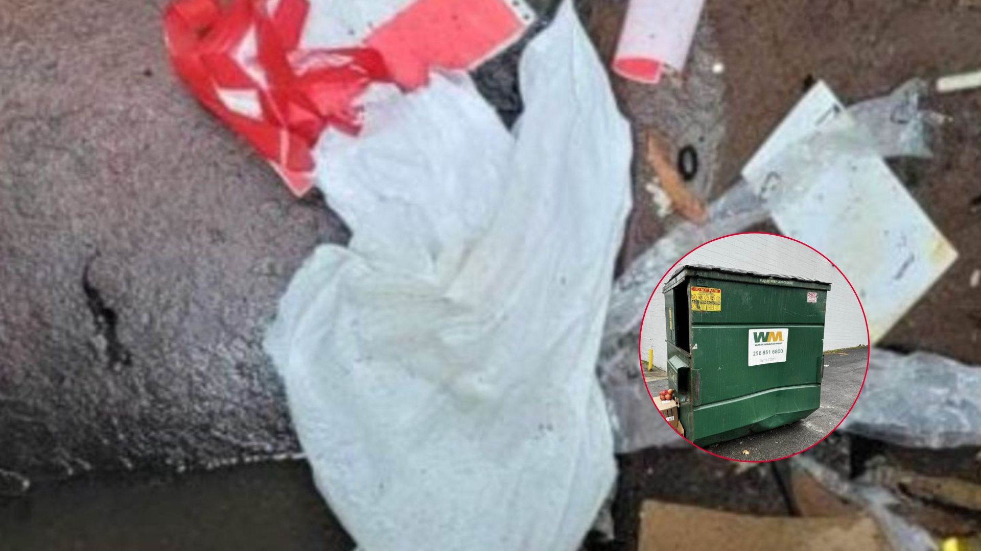 dog found in sealed bag in dumpster