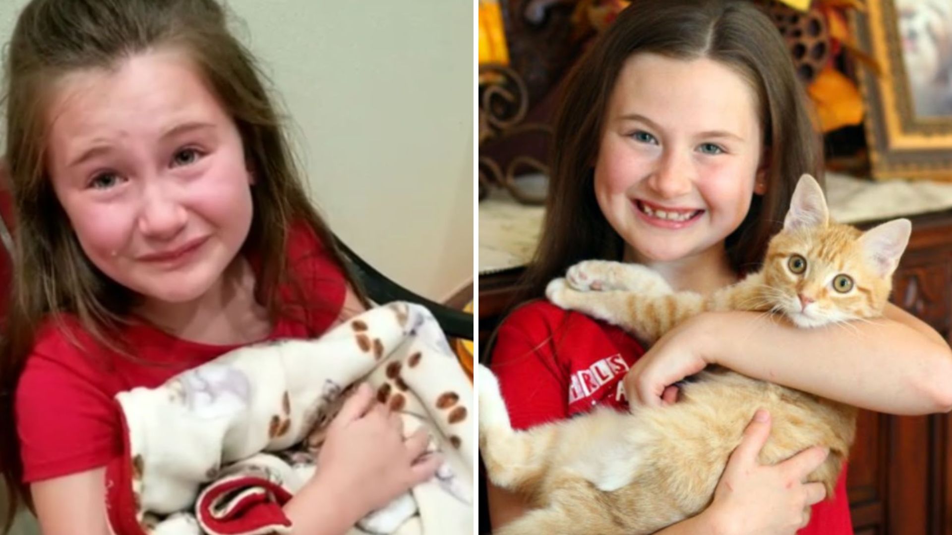 girl with adhd gets special kitten