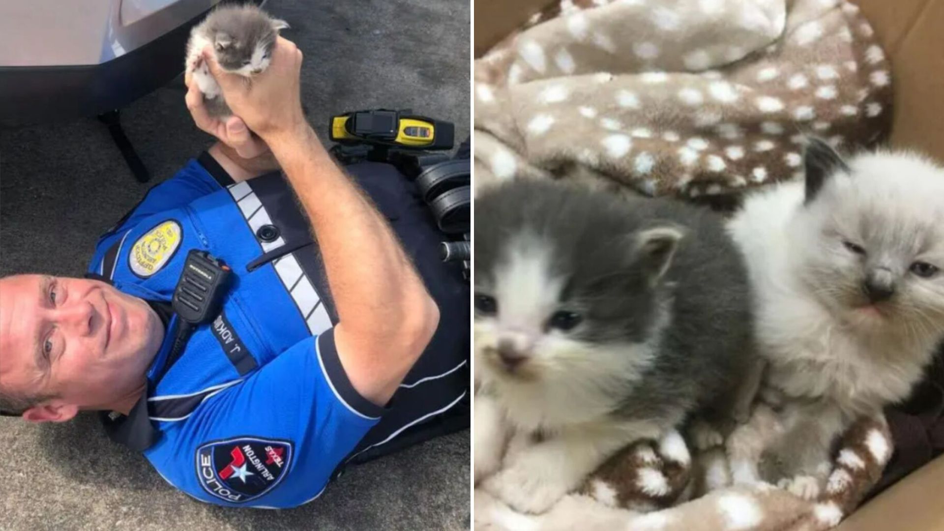 Texas Officer Jumps To Save Two Distressed Kittens From A Dangerous Hiding Spot