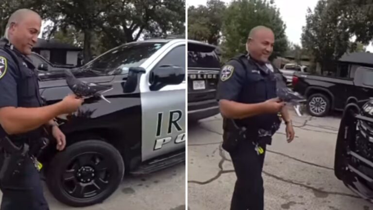 police rescuer unusual pet
