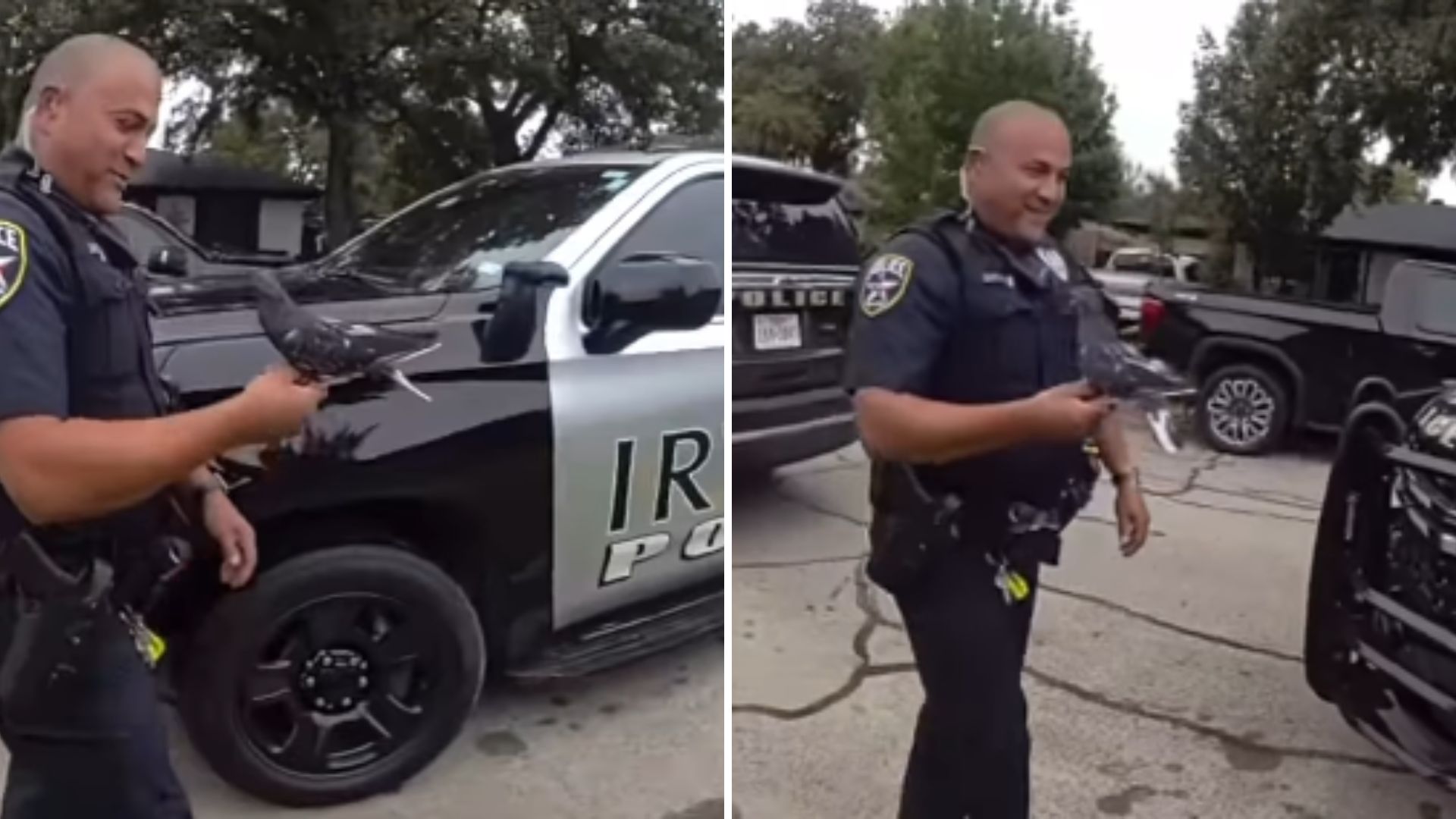 police rescuer unusual pet