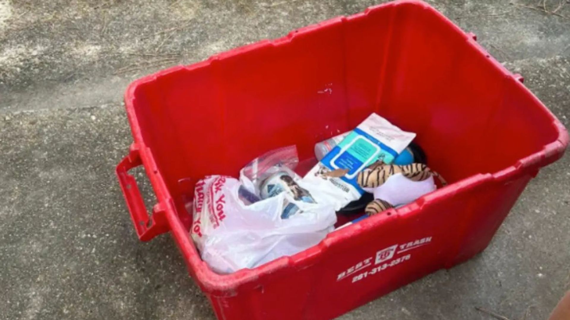 injured puppy left in plastic bin in womans yard