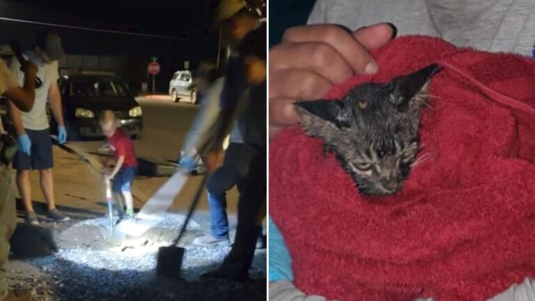 Three Arizona Organizations Join Forces To Save A Poor Animal Trapped In An Underground Pipe