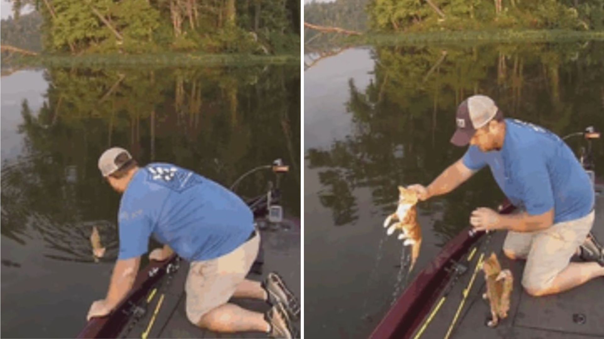 fisherman rescuing two kittens