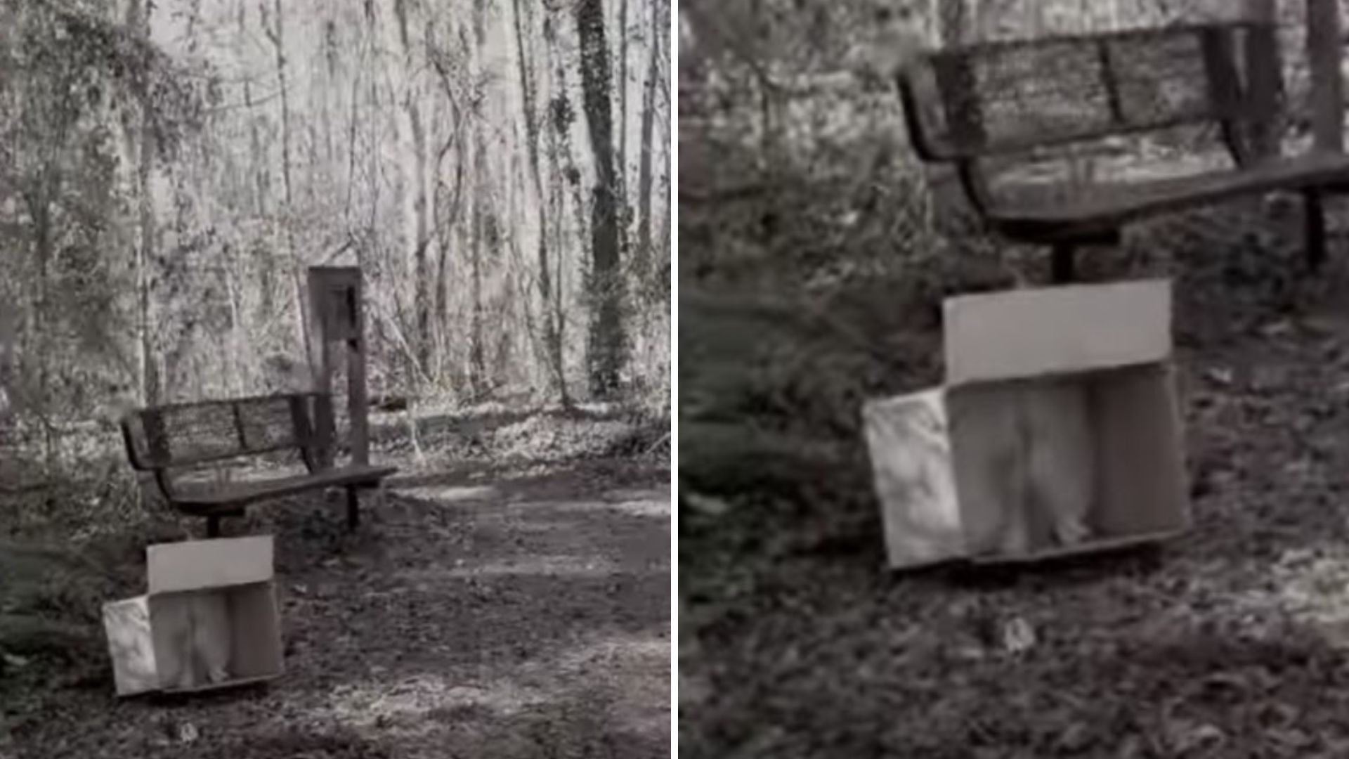 abandoned box in the park