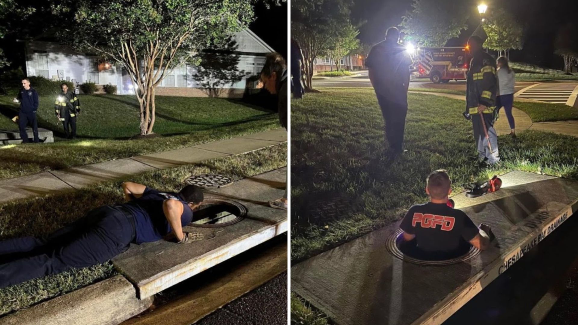 cats trapped in storm drain