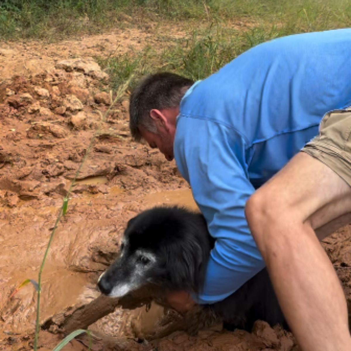 an pulls a dog out of the mud