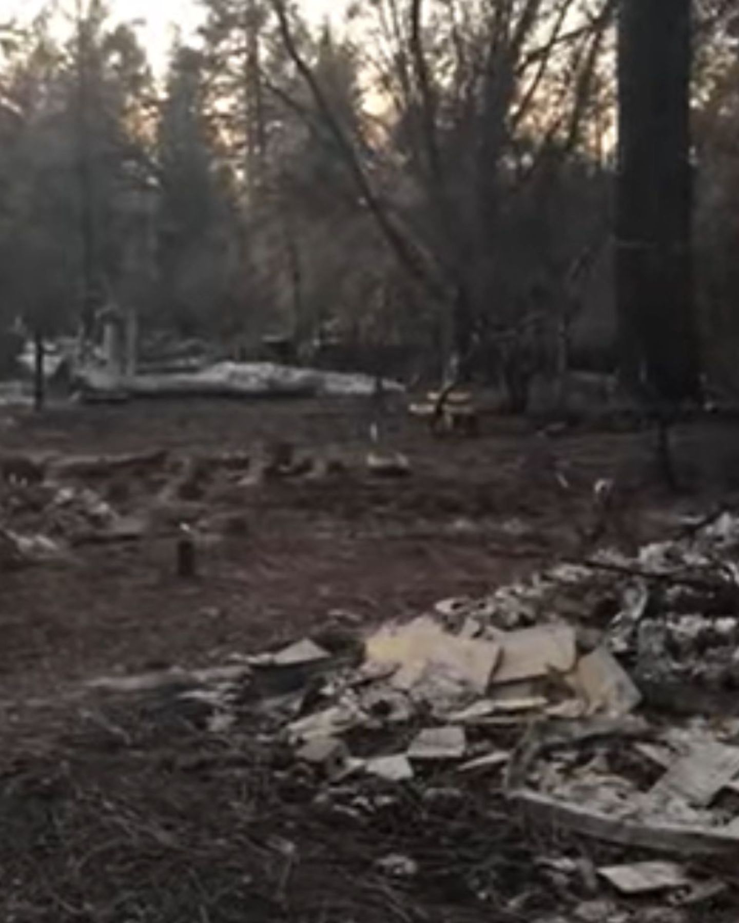 camp fire
