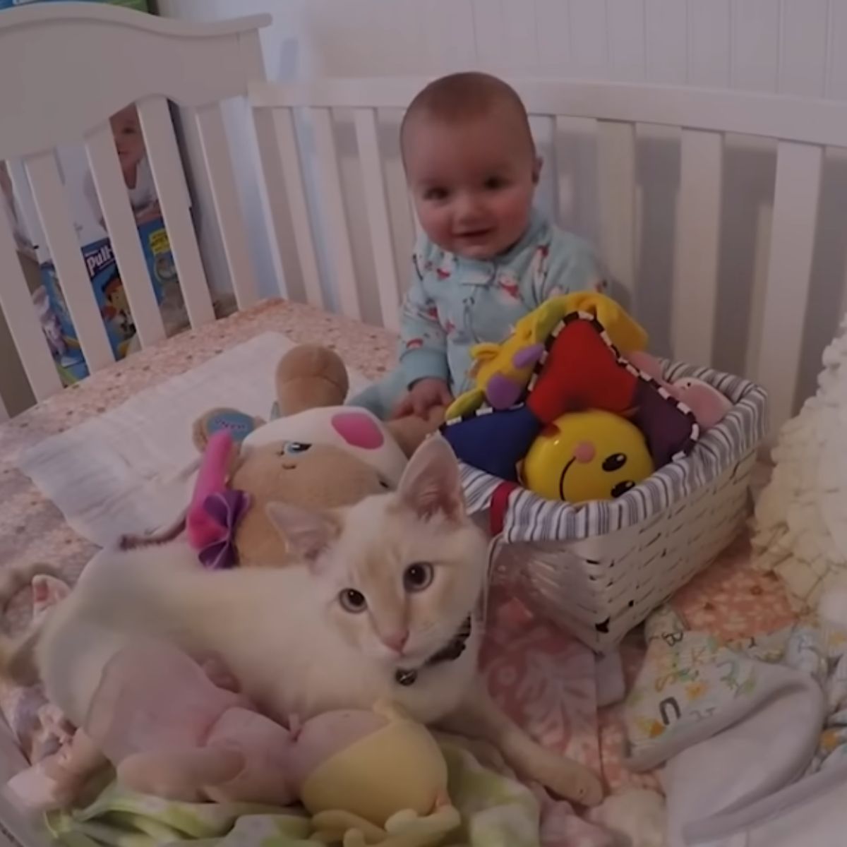 cat and baby in a crib