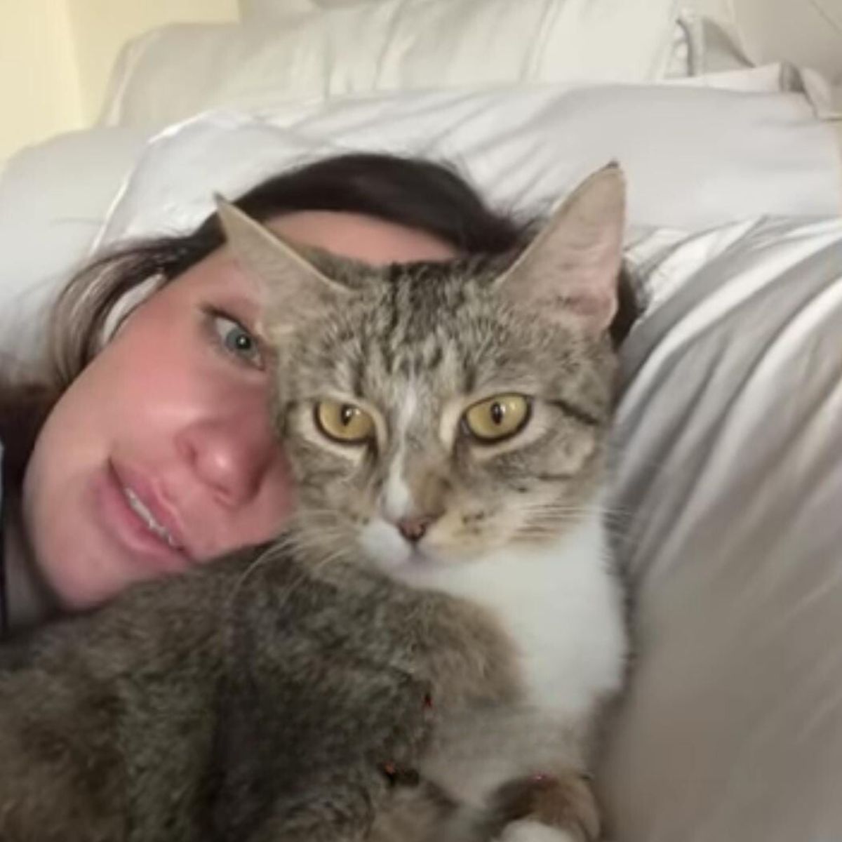 cat and woman in bed