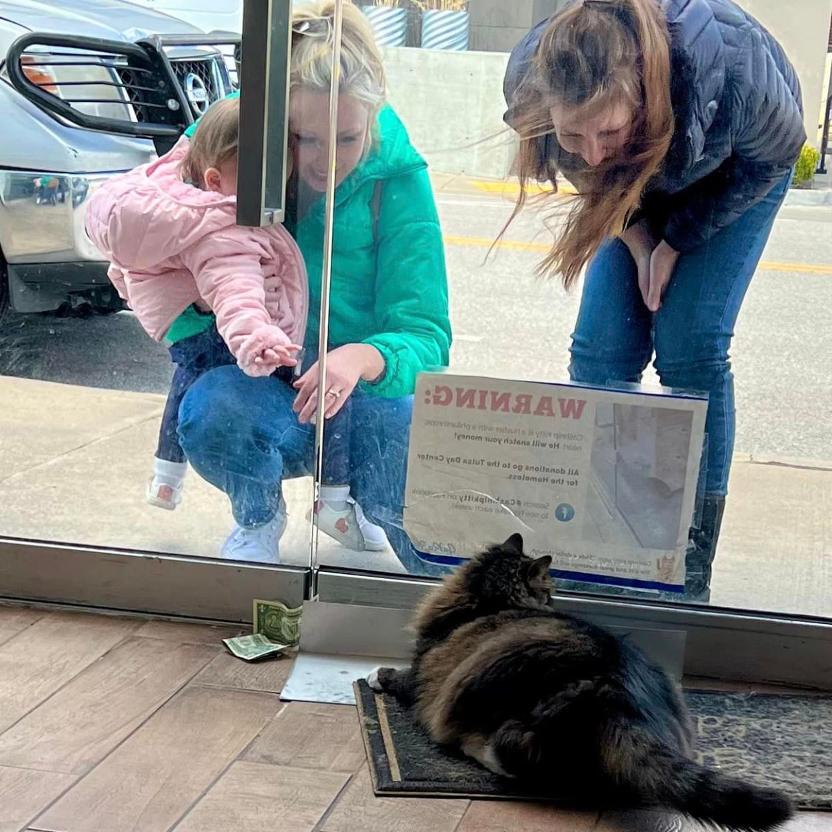 cat at door