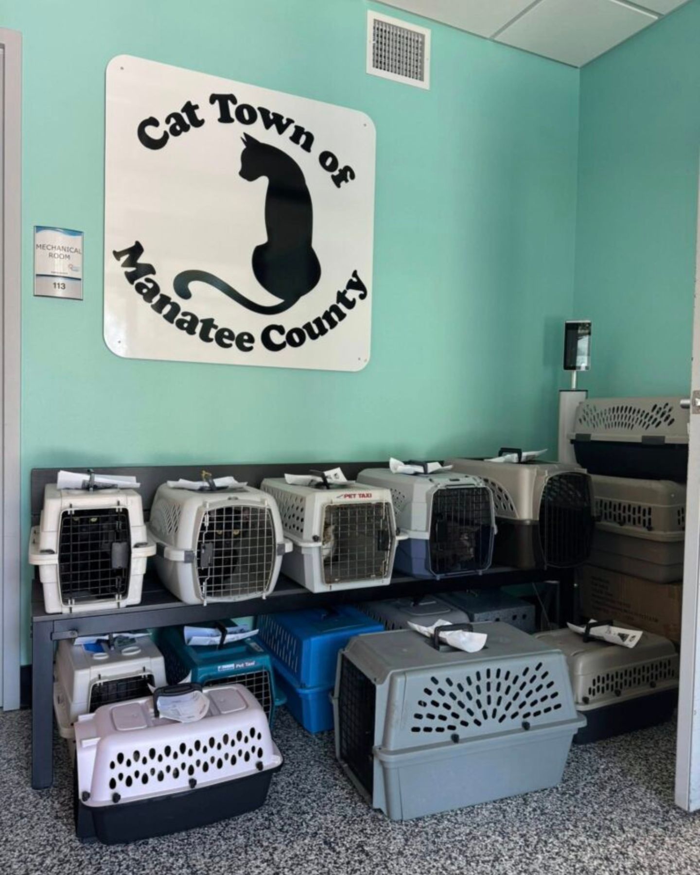 cat crates